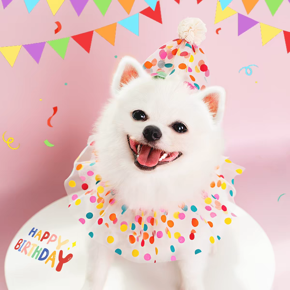 입댕로랑 강아지 생일 강아지 생일 파티 반려동물 고양이 용품 모자 액세서리 고깔 기념 멍템